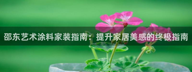 和记 中国首页：邵东艺术涂料家装指南：提升家居美感的终极指南