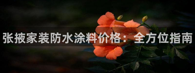 和记国际官网官网
