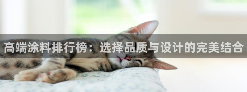 和记官网登陆：高端涂料排行榜：选择品质与设计的完美结合
