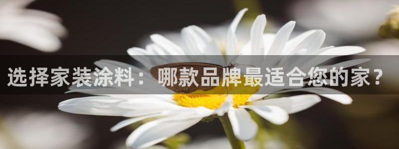 和记国际电讯市值：选择家装涂料：哪款品牌最适合您的家？