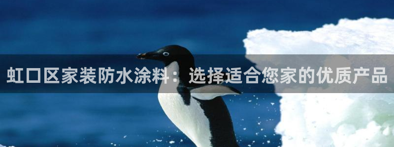 和记h8