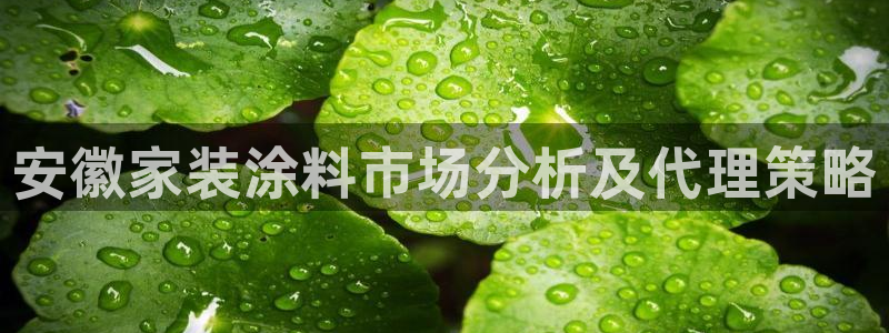 和记pc：安徽家装涂料市场分析及代理策略