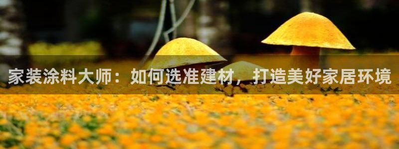 和记官方平台