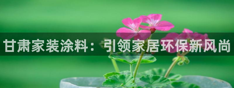 和记官方直营：甘肃家装涂料：引领家居环保新风尚