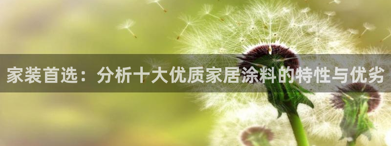 和记paging