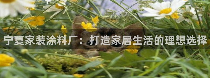 和记官网 公司：宁夏家装涂料厂：打造家居生活的理想选择