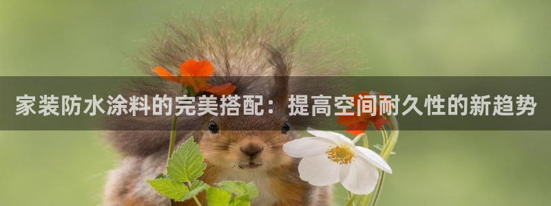 和记平台登录：家装防水涂料的完美搭配：提高空间耐久性的新趋势