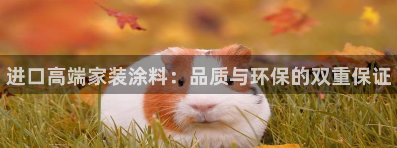 和记5g电讯：进口高端家装涂料：品质与环保的双重保证